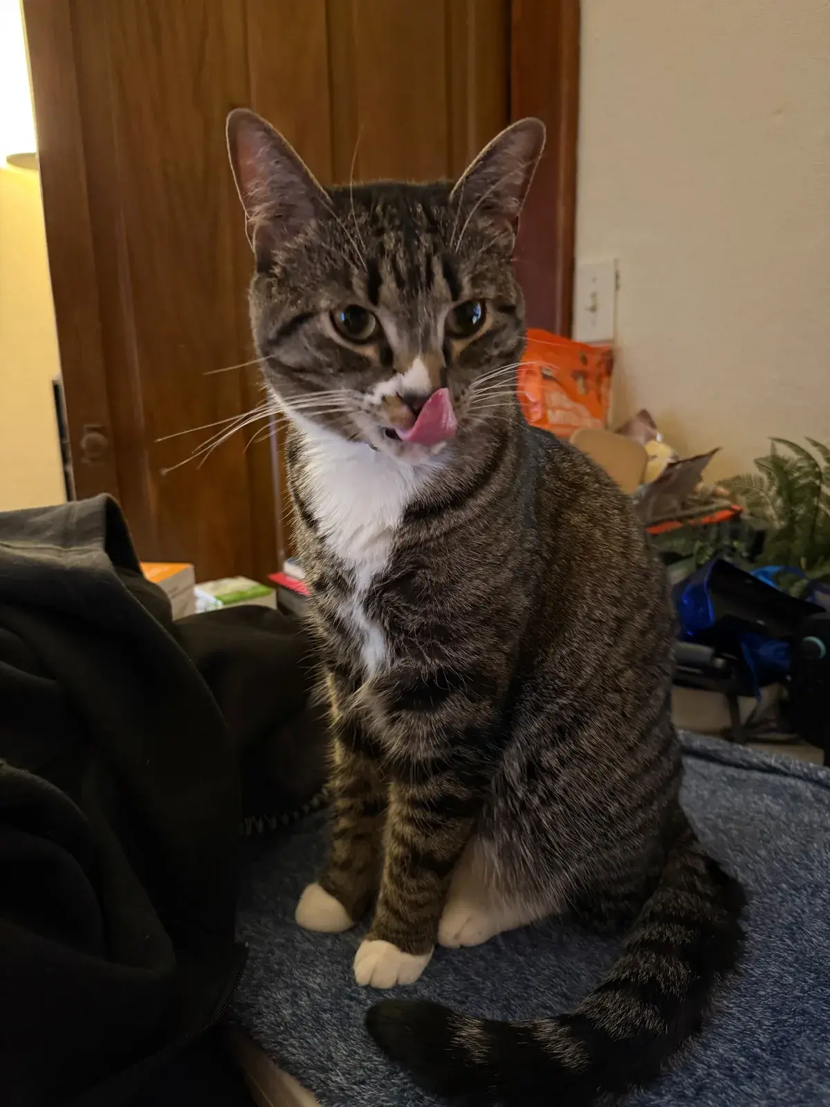 Daphne staring directly at the camera with a serious expression